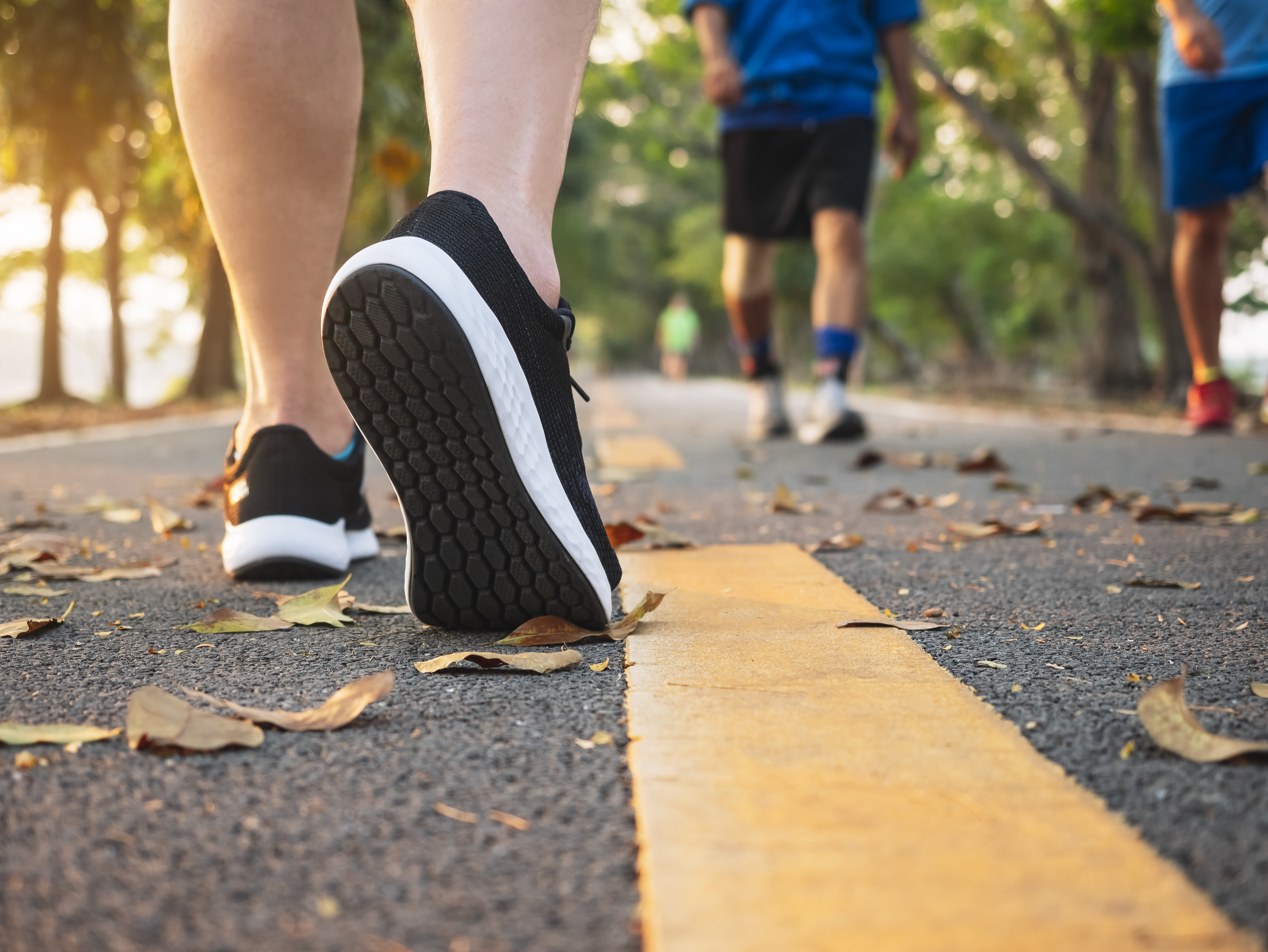 Walk with a Doc