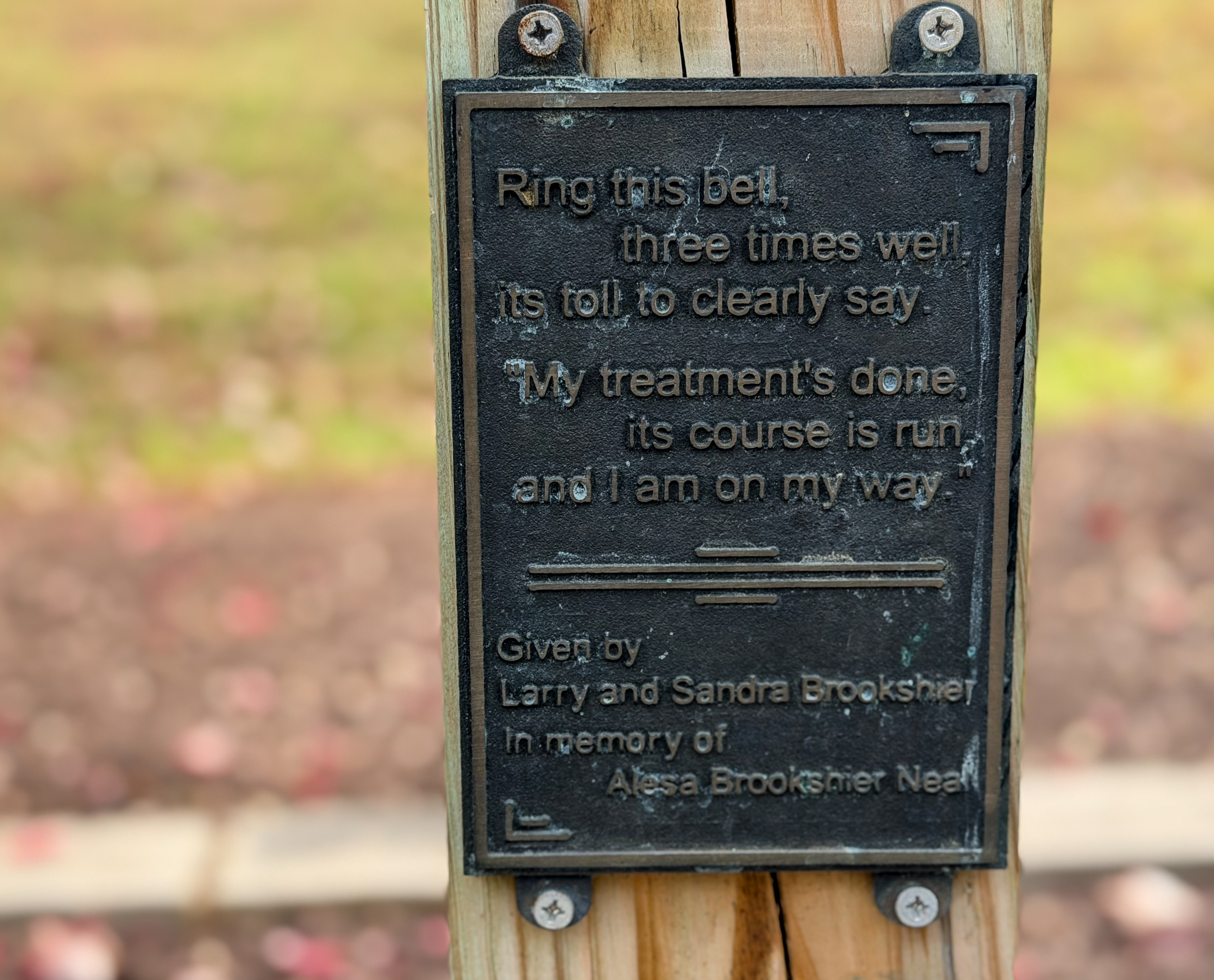 Plaque